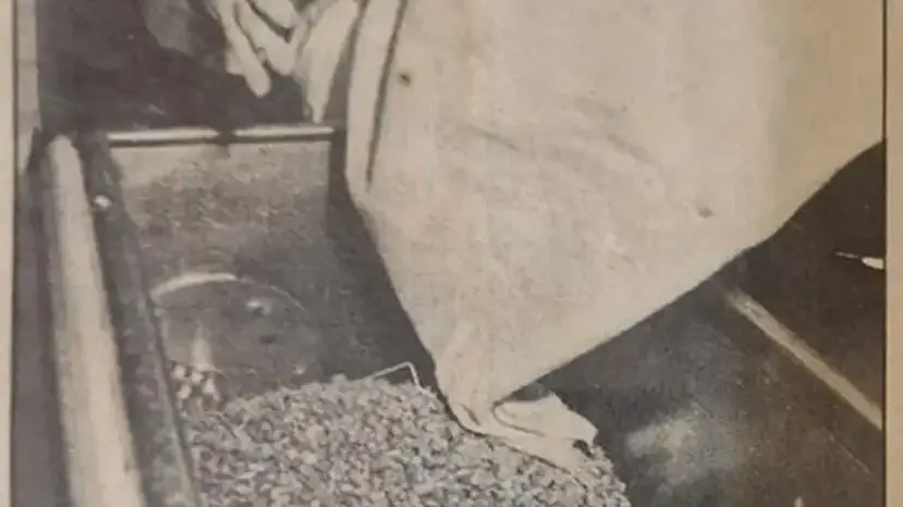 Ismael fabricando horchata-Horchatería IMA-Avenida Capuchinos-Foto antigua